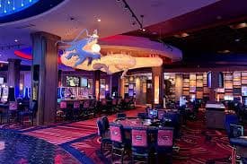 pakrummy2 Live Casino Rooms